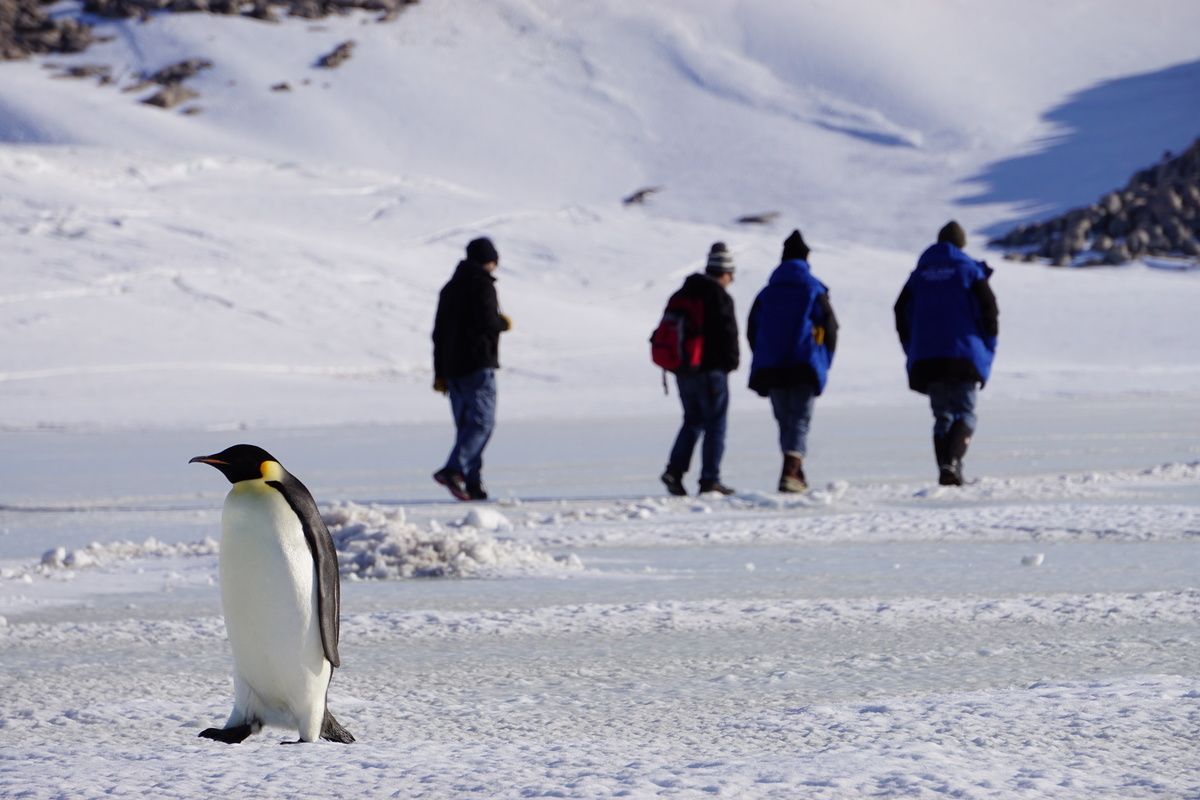 Image Result For Prsentation De Lantarctique France Diplomatie